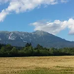 Repinc Bled