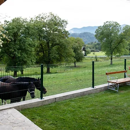 乐帕斯公寓 布莱德