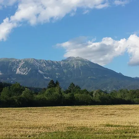 Repinc Bled