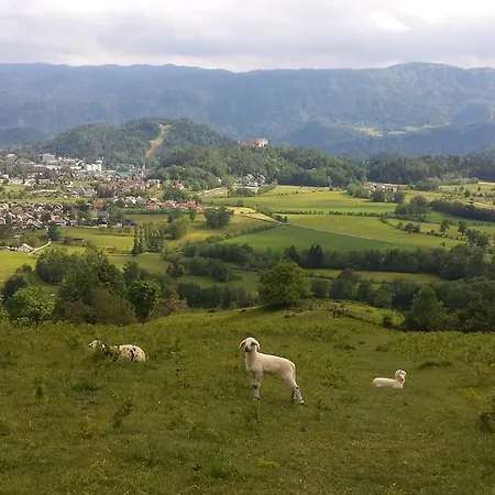 Repinc Apartamento Bled