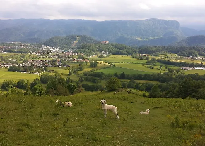 Repinc Appartement Bled